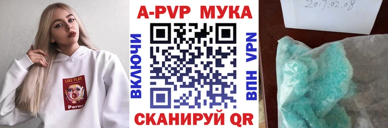 A PVP СК  Кириши 
