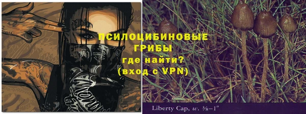ALPHA PVP Беломорск