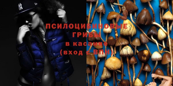 ALPHA PVP Беломорск