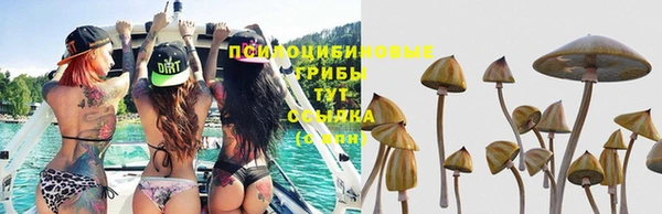 спайс Белоозёрский